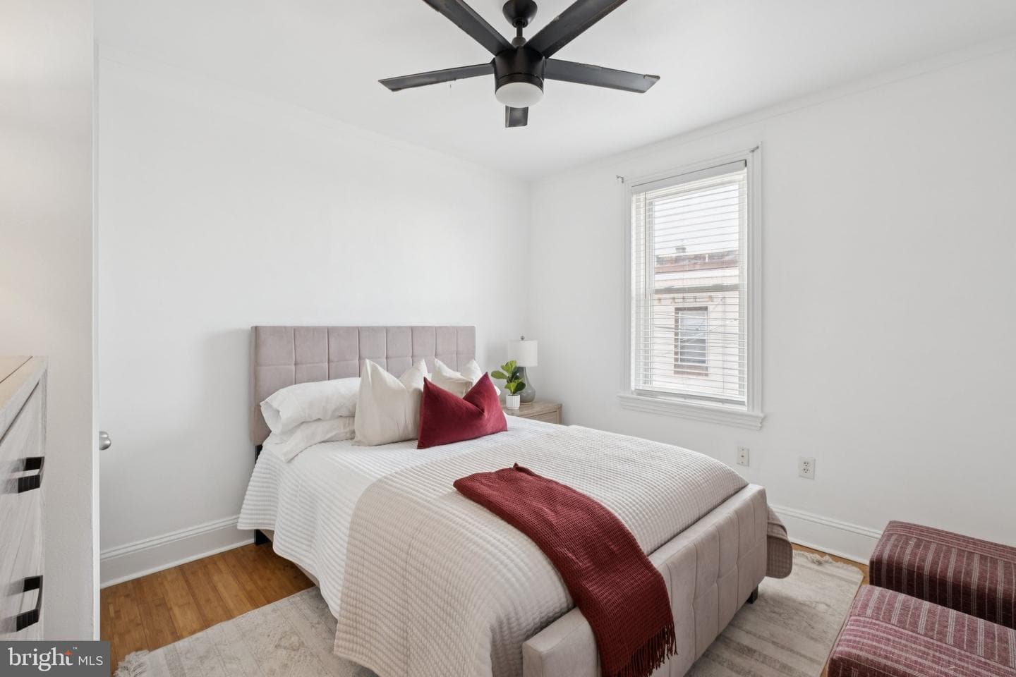 2669 Webb Street photo 17