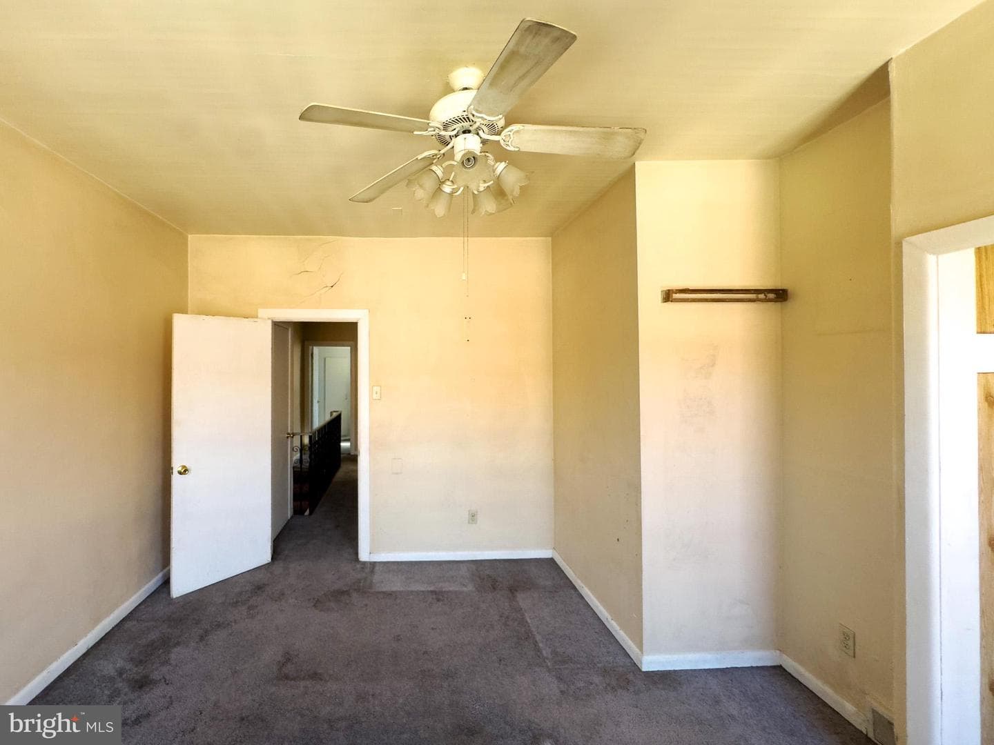 2123 S Mole Street photo 23