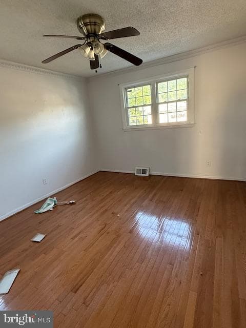 9117 Bustleton Avenue photo 21