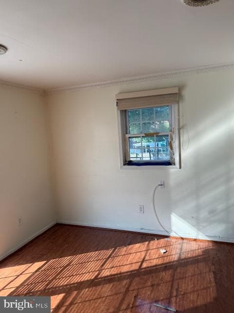 9117 Bustleton Avenue photo 23