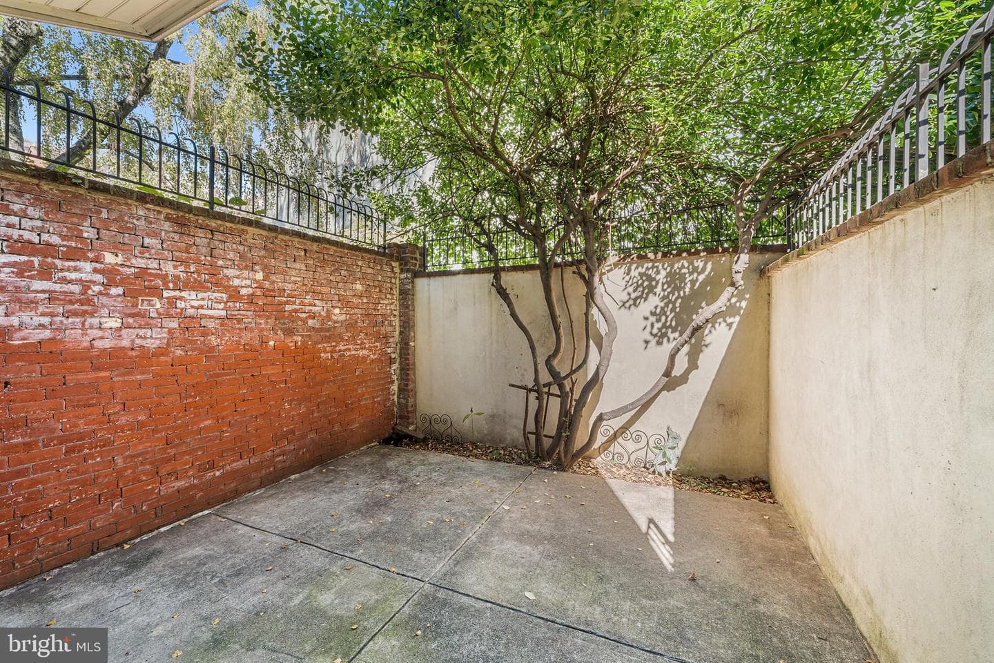 1205 Spruce Street #2 photo 24