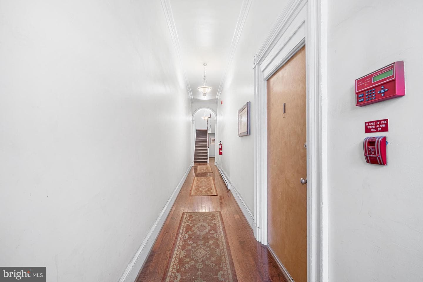 1205 Spruce Street #2 photo 5