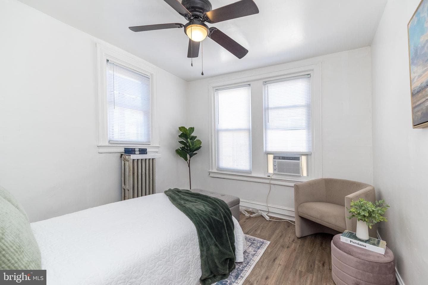 217 Furley Street photo 13