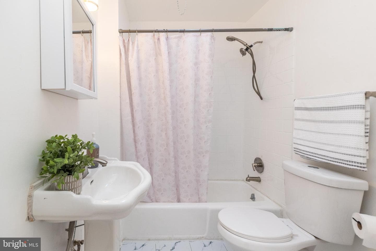 217 Furley Street photo 17