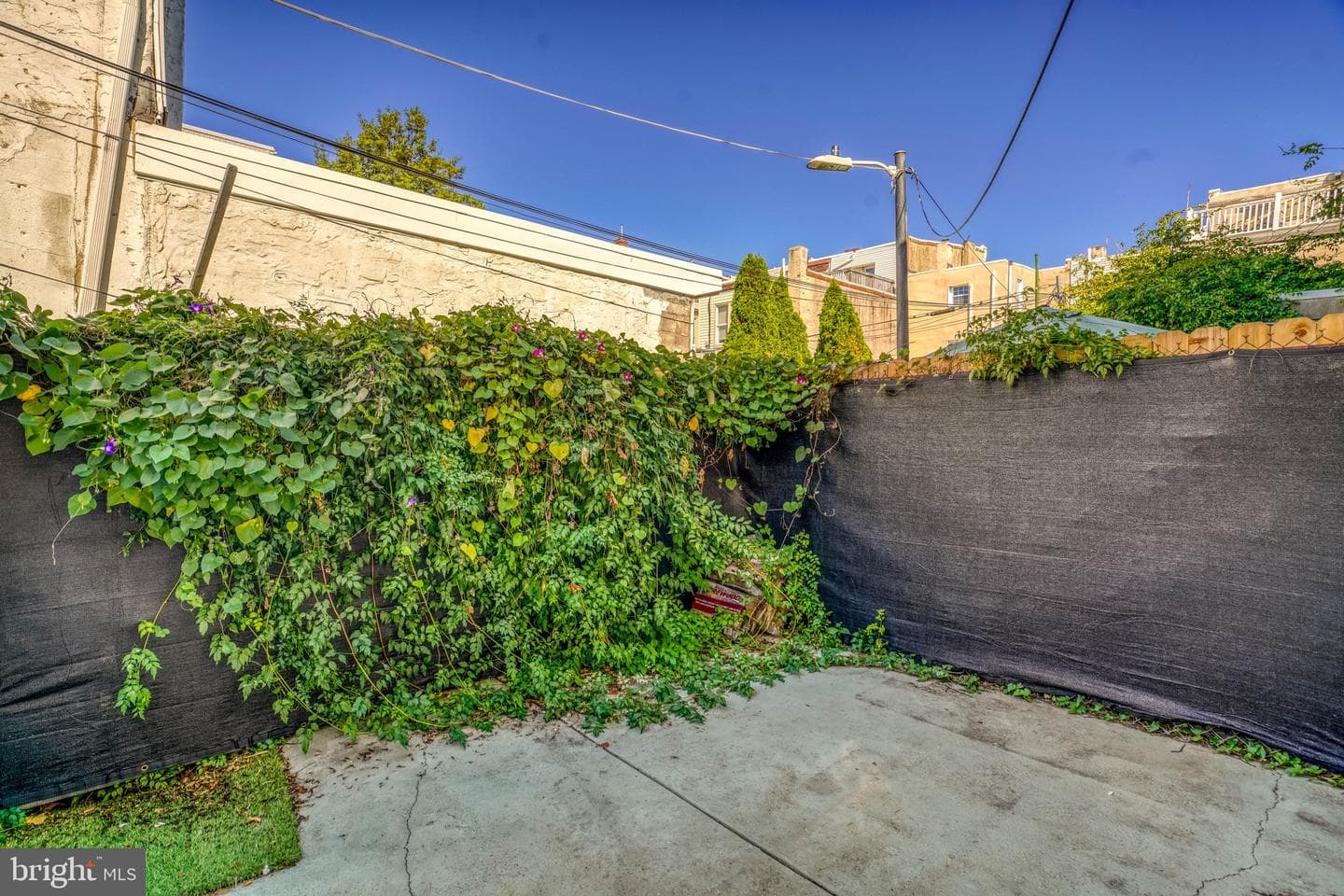 2660 Memphis St photo 43
