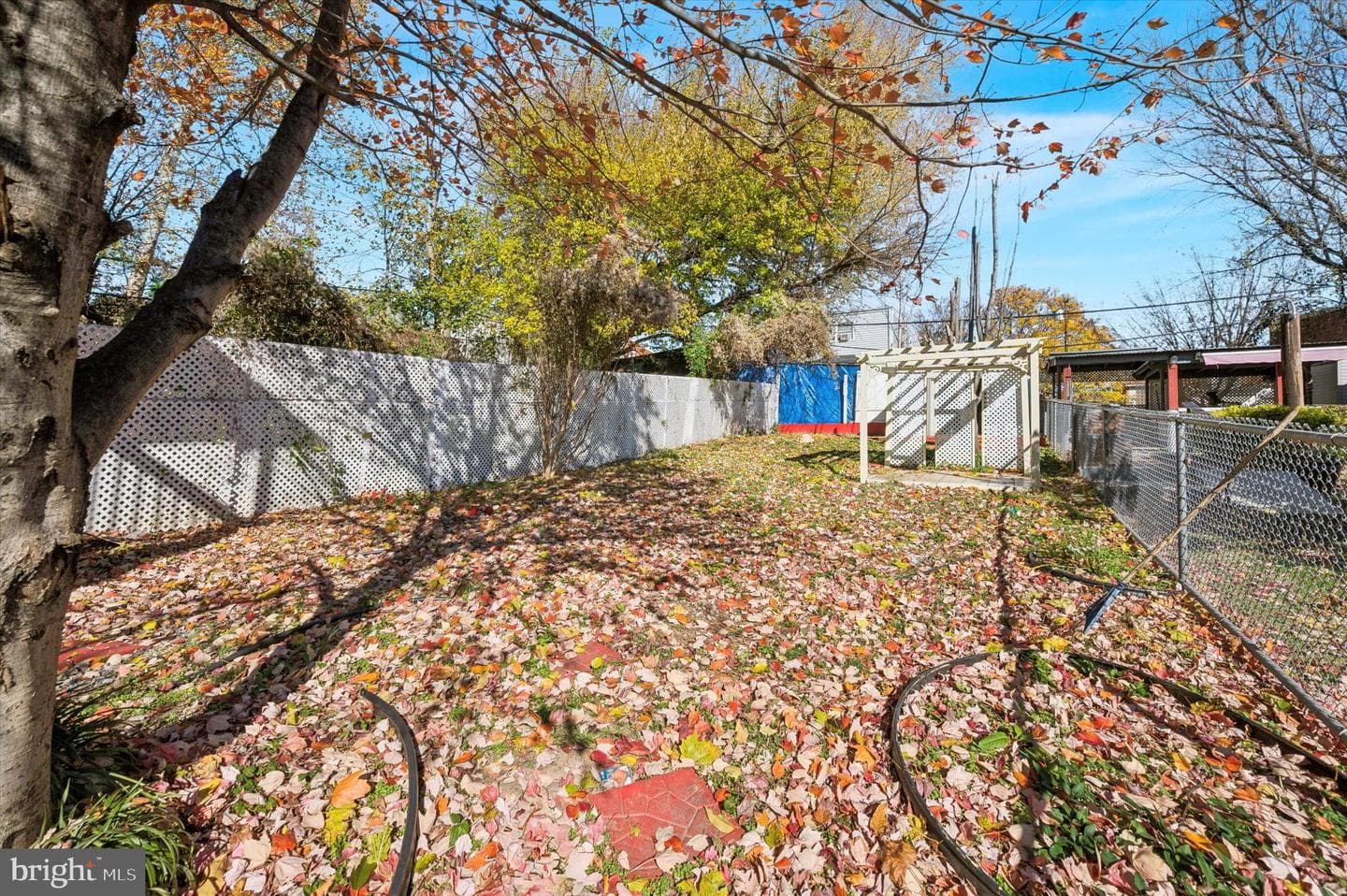 1817 Wilmot Street photo 19