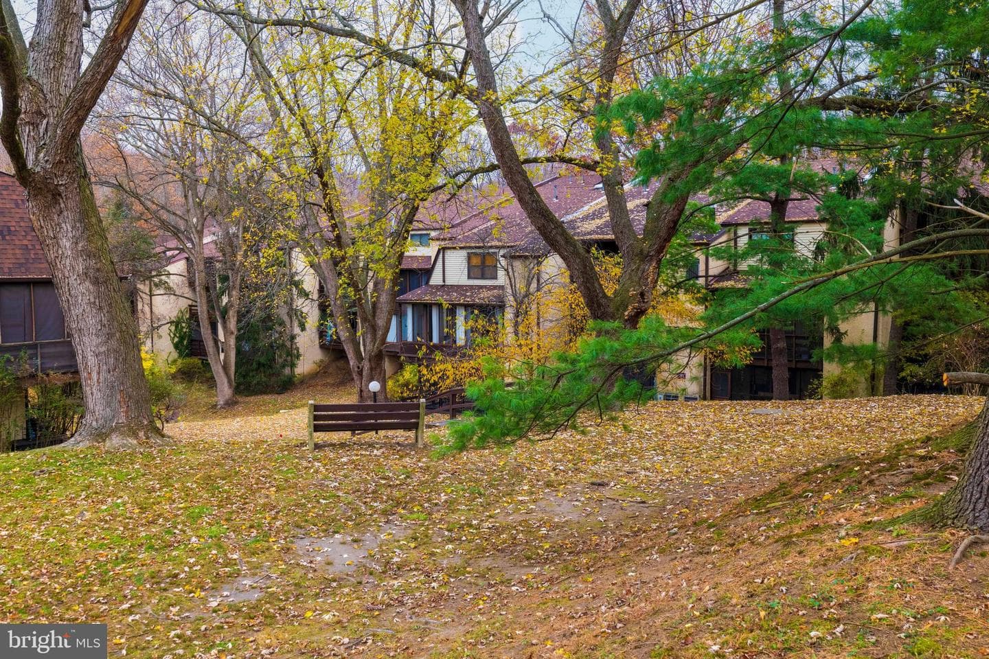 427 Shawmont Avenue #c photo 29