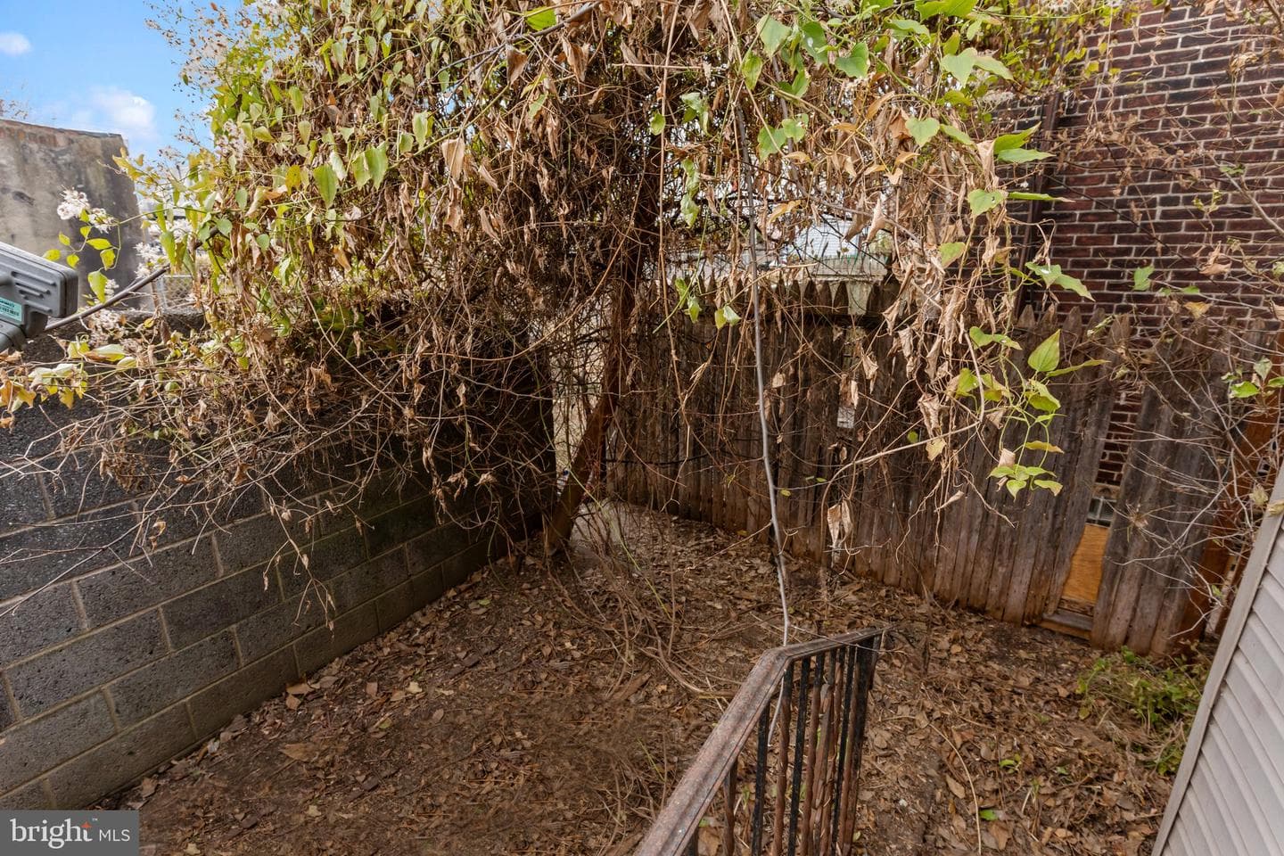 3555 Jasper Street photo 16