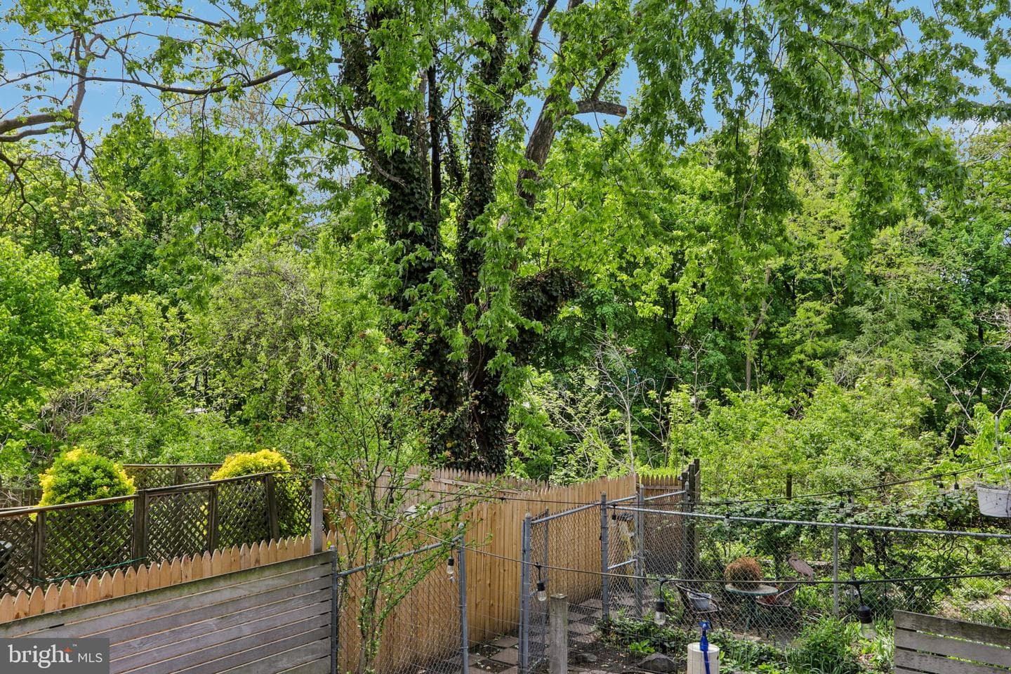 3008 Poplar Street photo 21