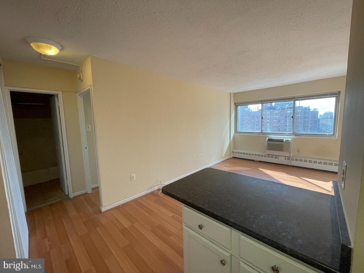 2101 Chestnut Street #1413 photo 4