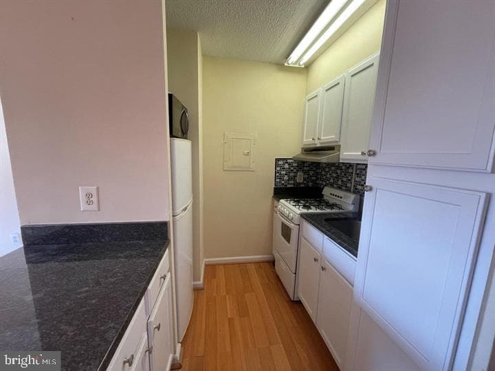 2101 Chestnut Street #1413 photo 5