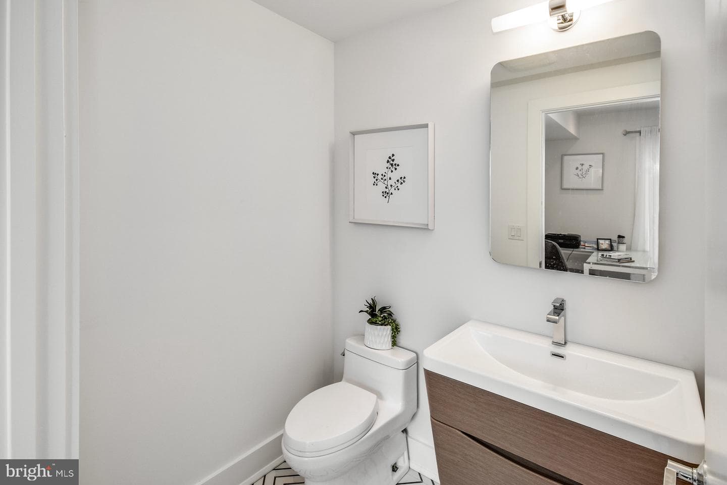 113 Olive Street photo 5