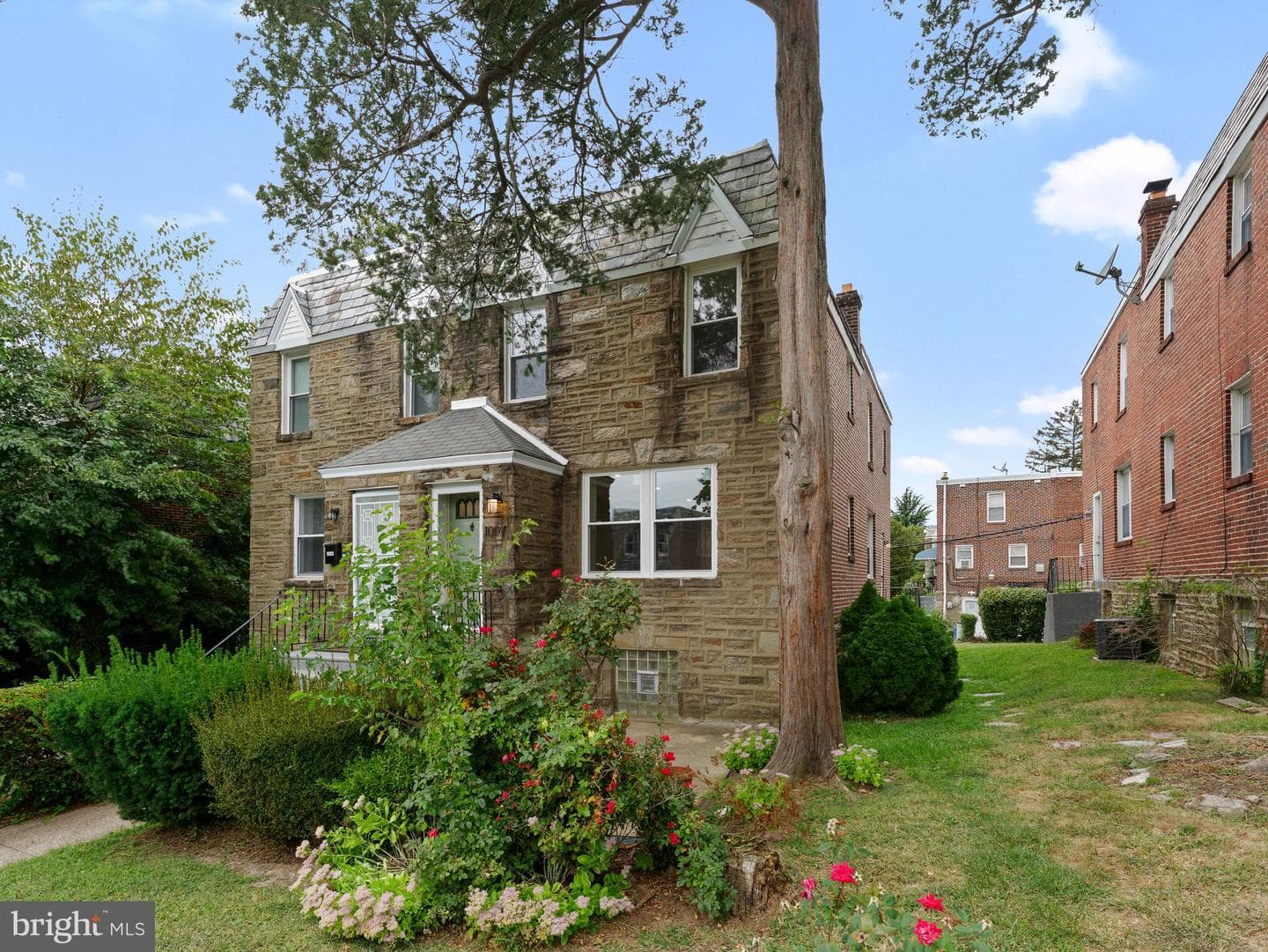1007 E Dorset Street photo 3