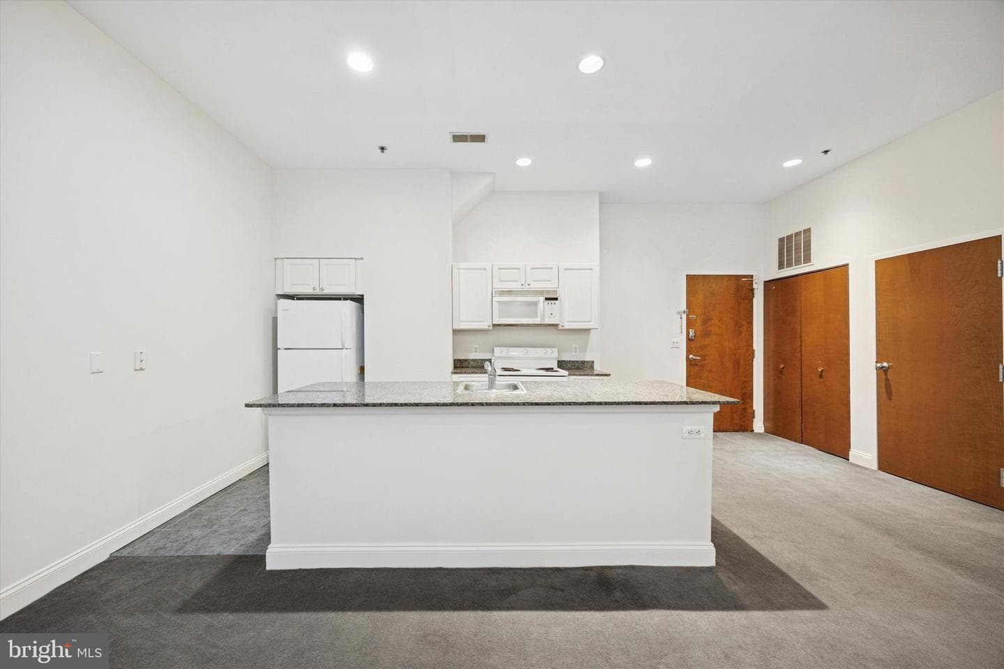 1001 Chestnut Street #205w photo 9