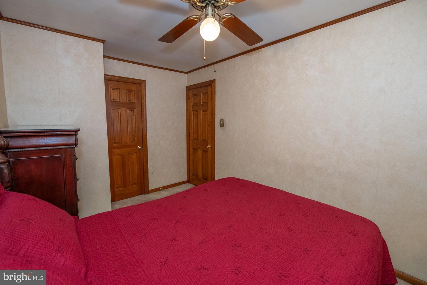 4117 Knorr Street photo 12
