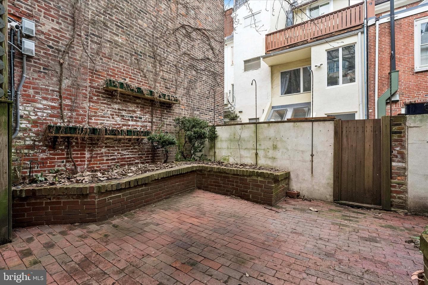 519 Pine Street photo 43