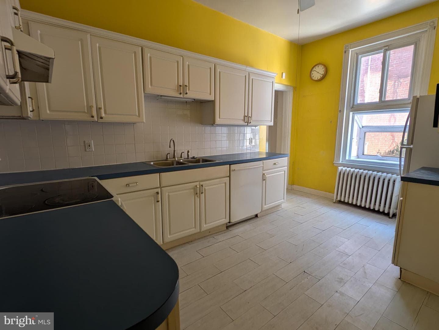 229 E Mount Pleasant Avenue photo 9