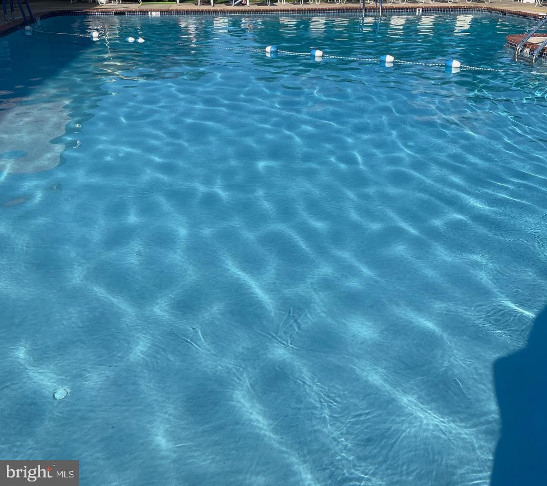 67203 Delaire Landing Road #203 photo 43