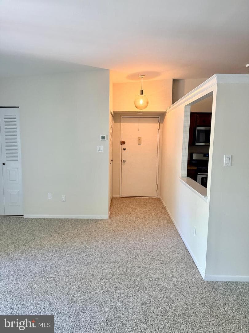 67203 Delaire Landing Road #203 photo 5