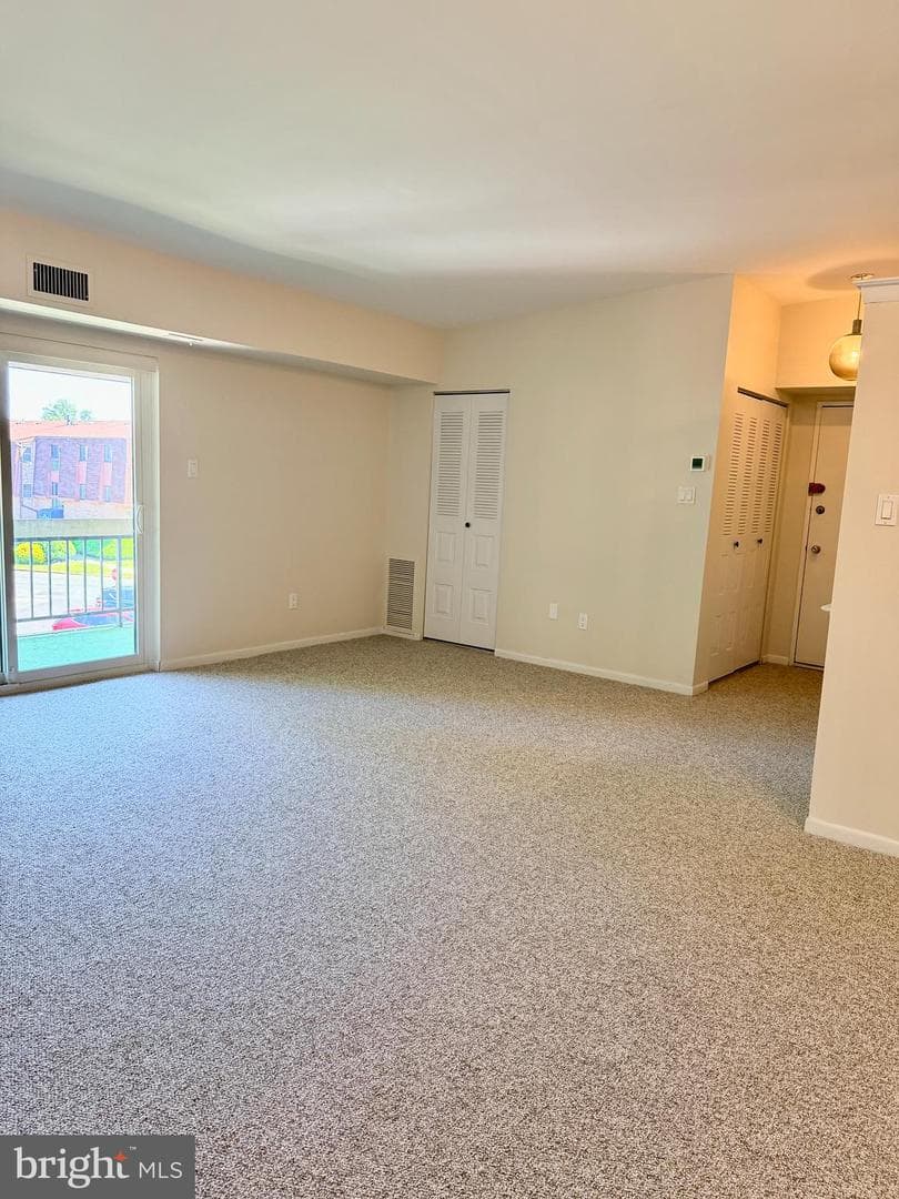 67203 Delaire Landing Road #203 photo 9