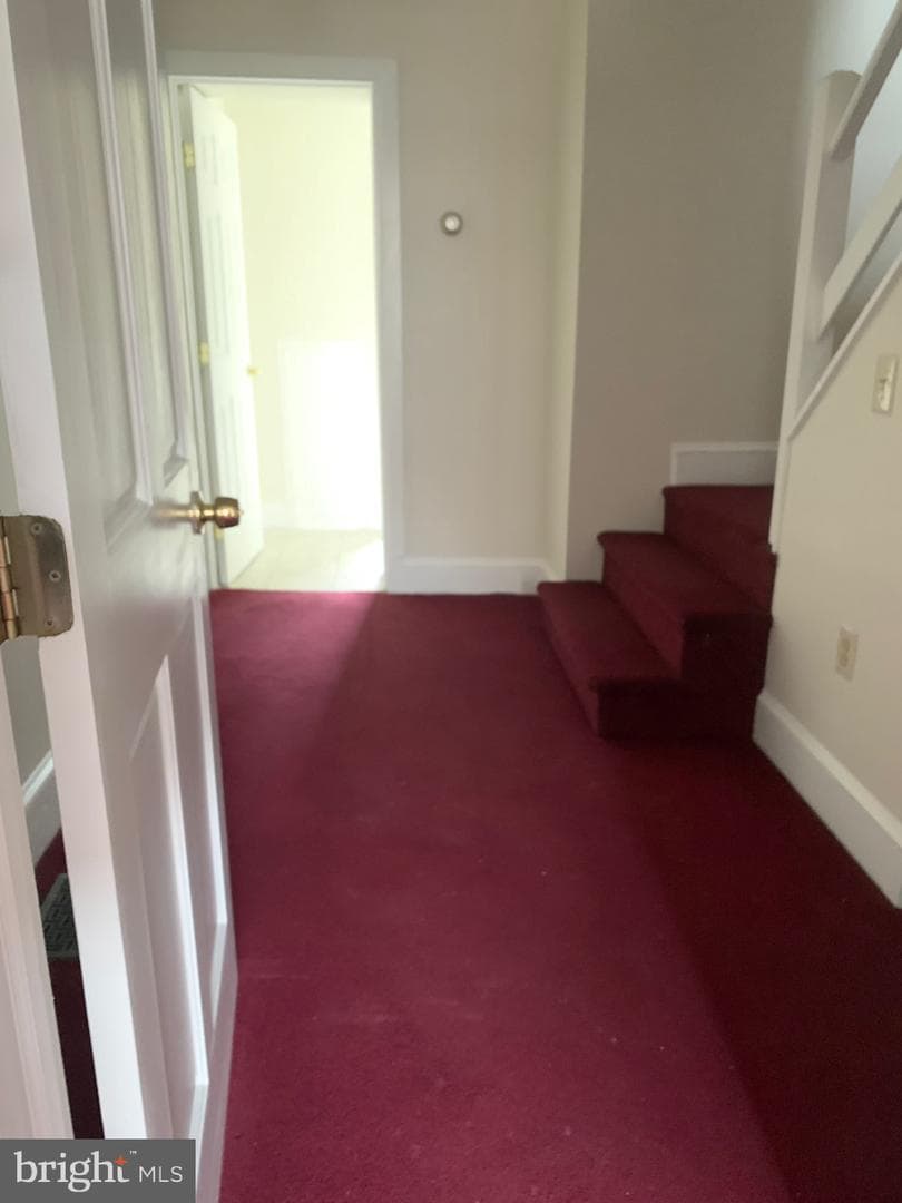 528 Fitzwater Street photo 20