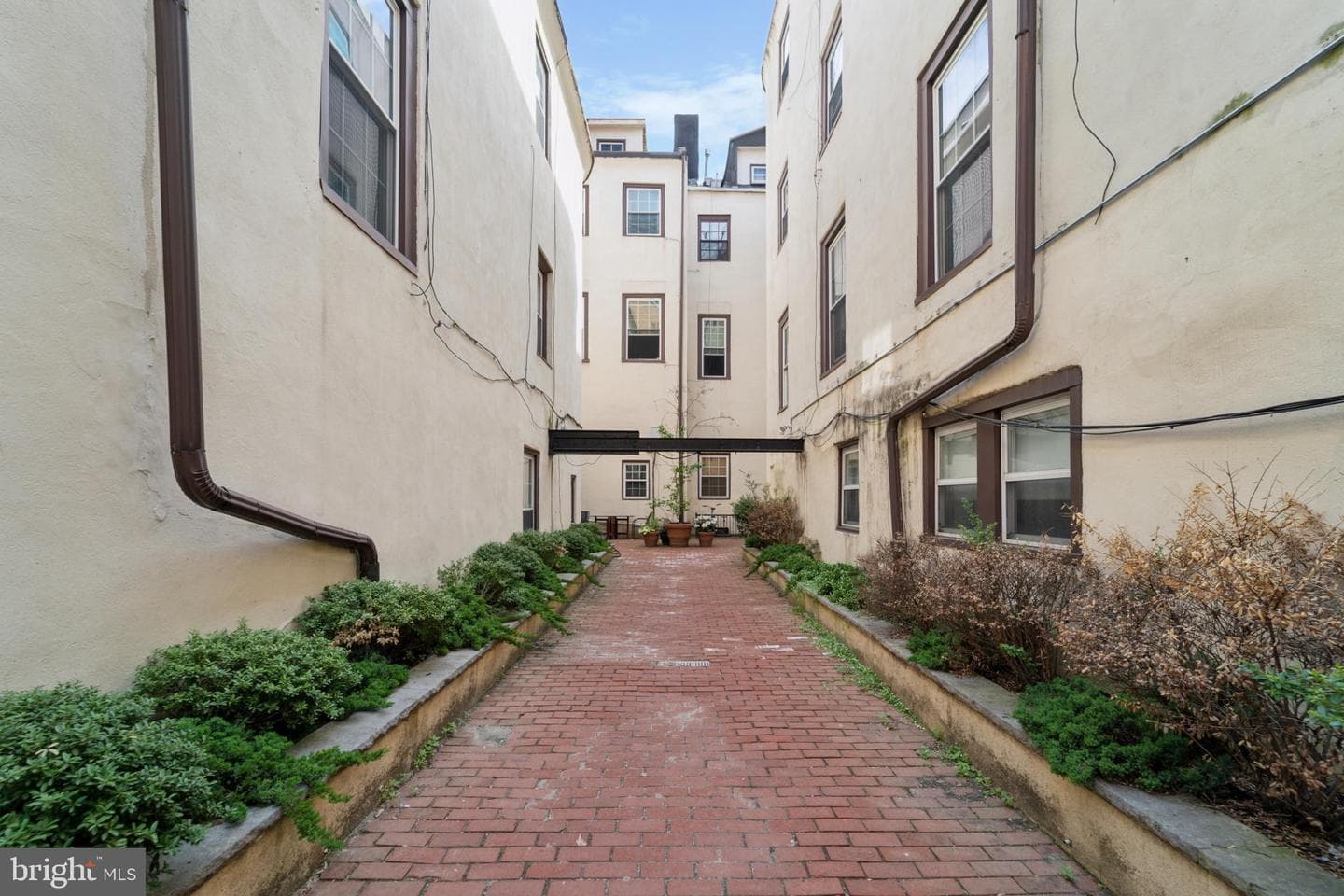1029 Spruce Street #304 photo 13