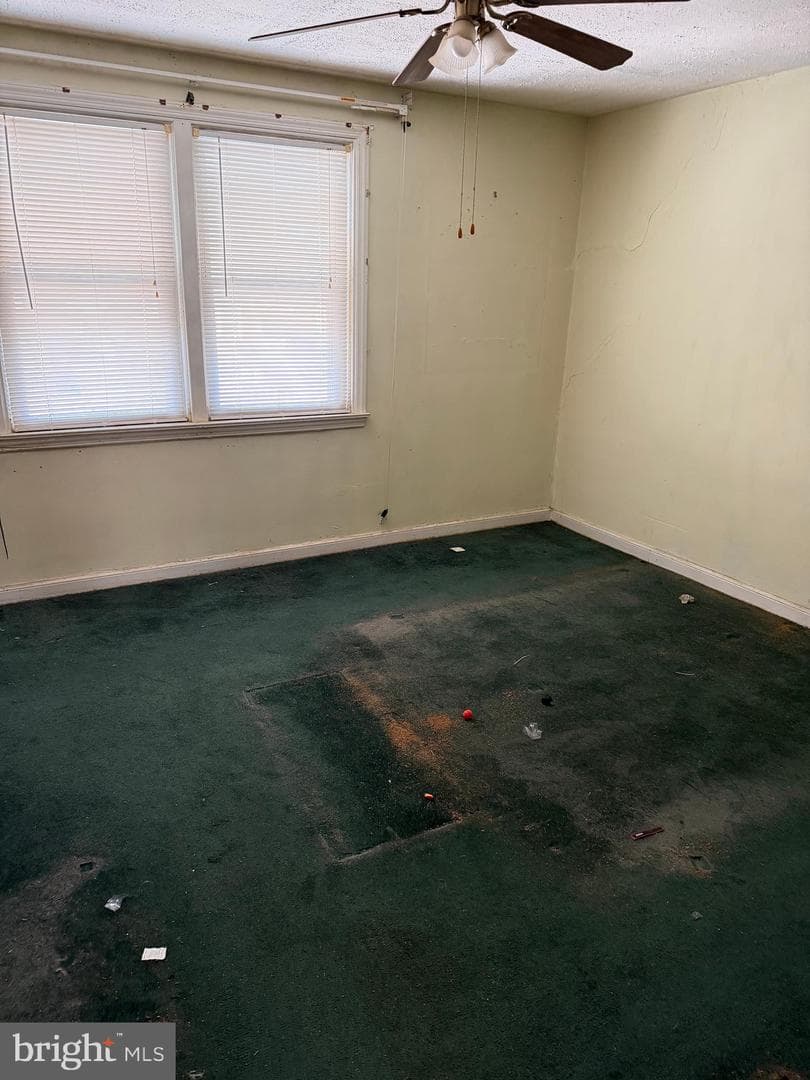 8045 Leon Street photo 17