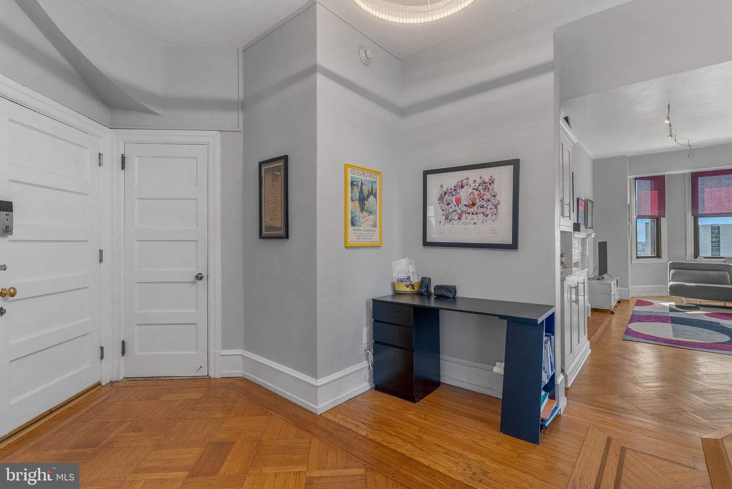 250 S 13th Street #12e photo 12