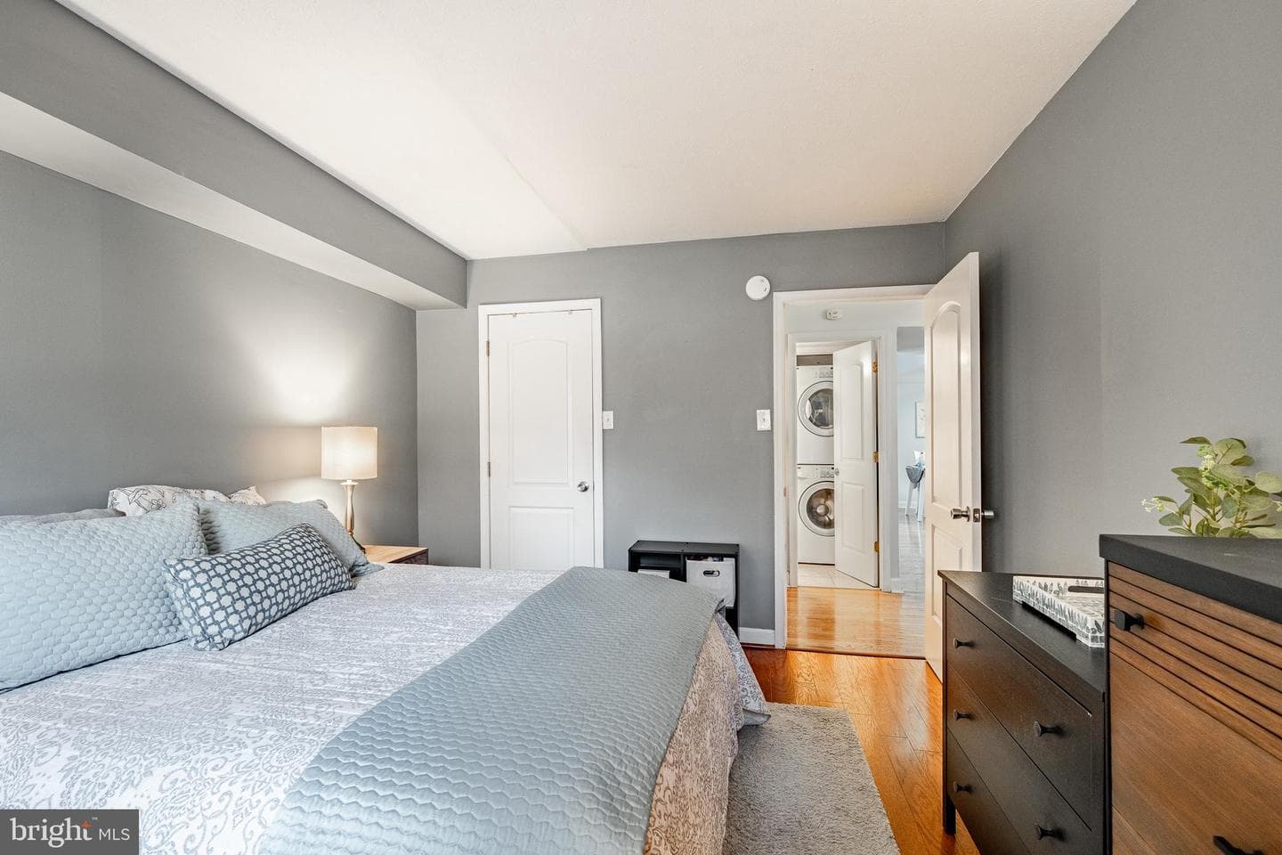243 Shawmont Avenue #c photo 13