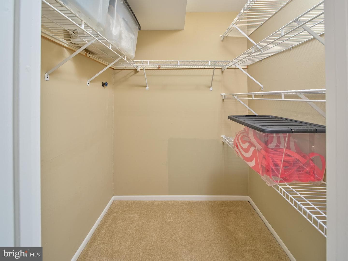 529 Strahle Street photo 25