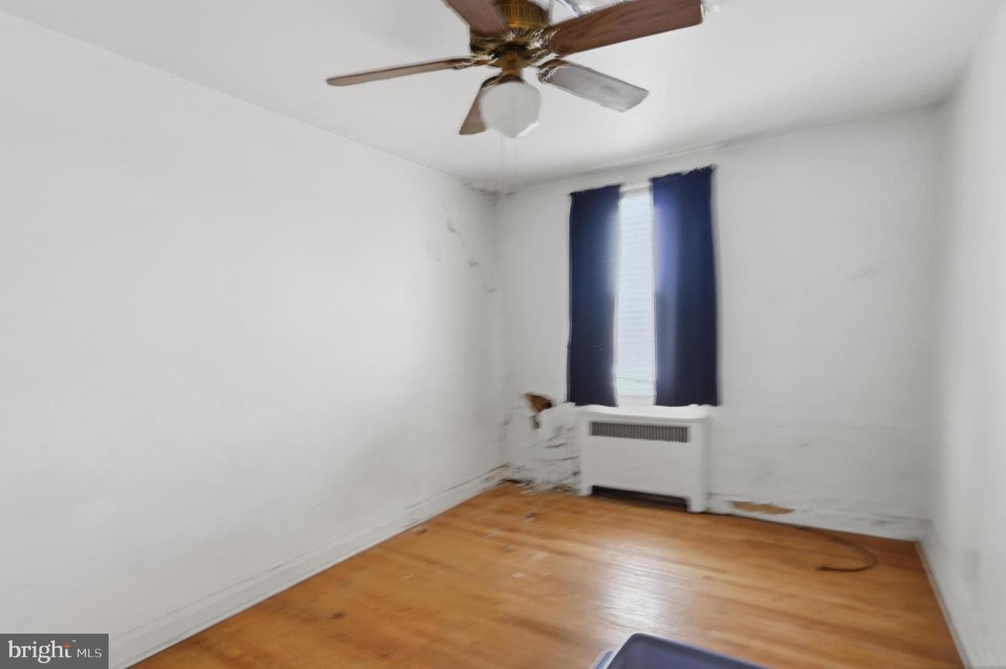 2913 Knorr Street photo 17