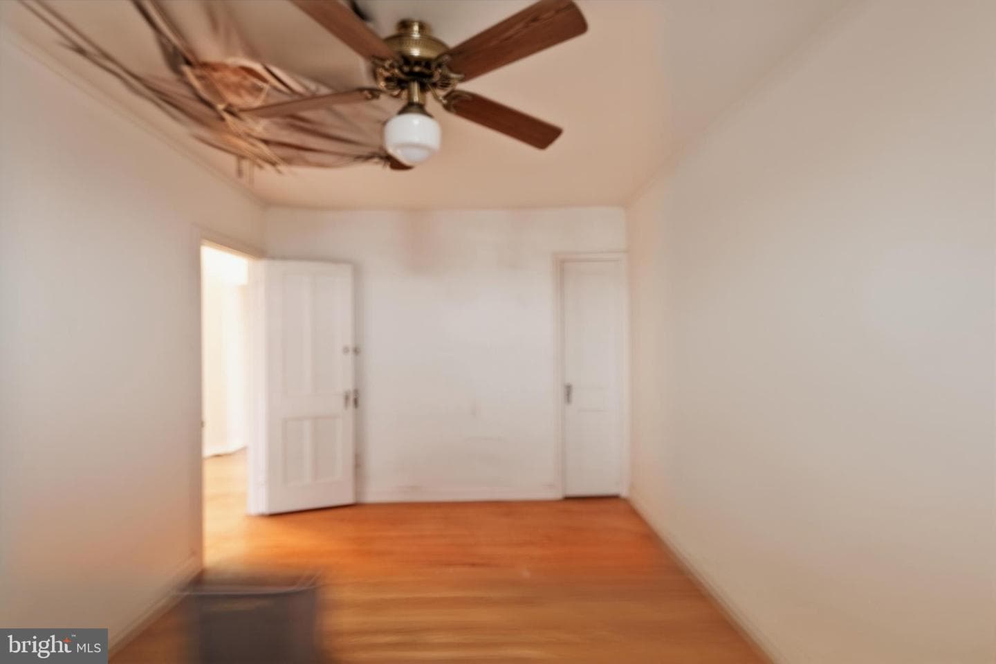 2913 Knorr Street photo 19