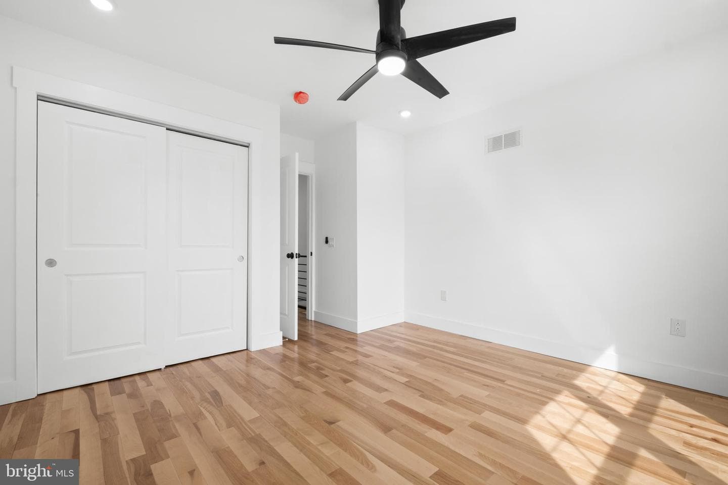 2818 Agate Street photo 28