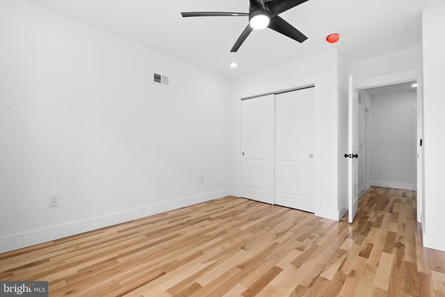 2818 Agate Street photo 29