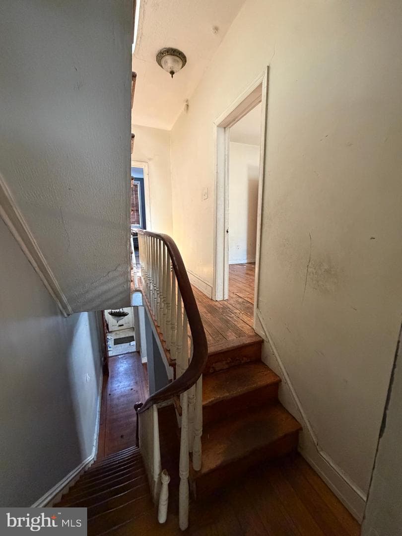 1842 Christian Street photo 15