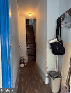 6103 Lansdowne Avenue photo 10