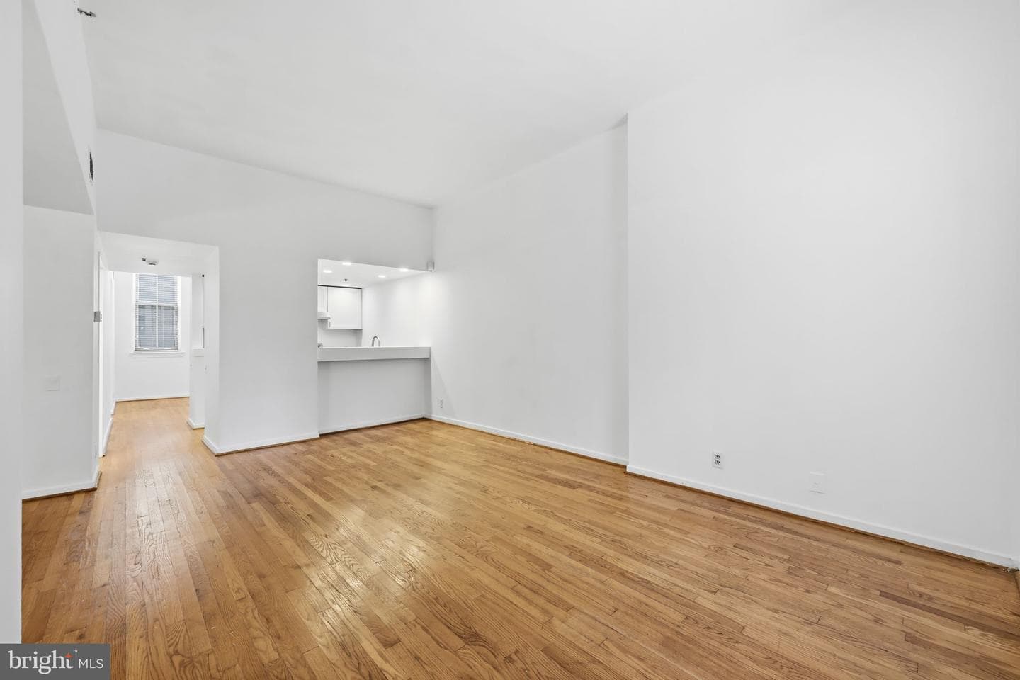 301 Race Street #c010 photo 11