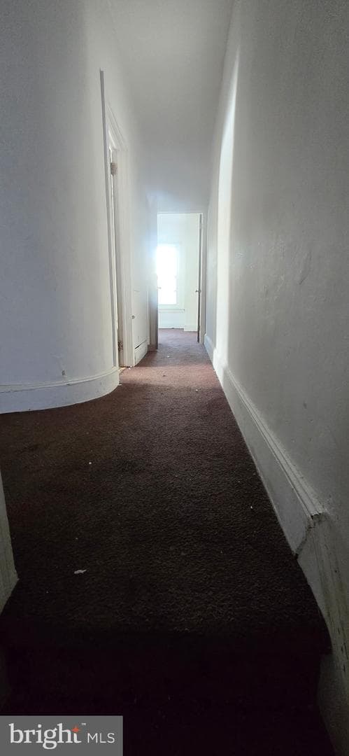 4455 Greene Street photo 12