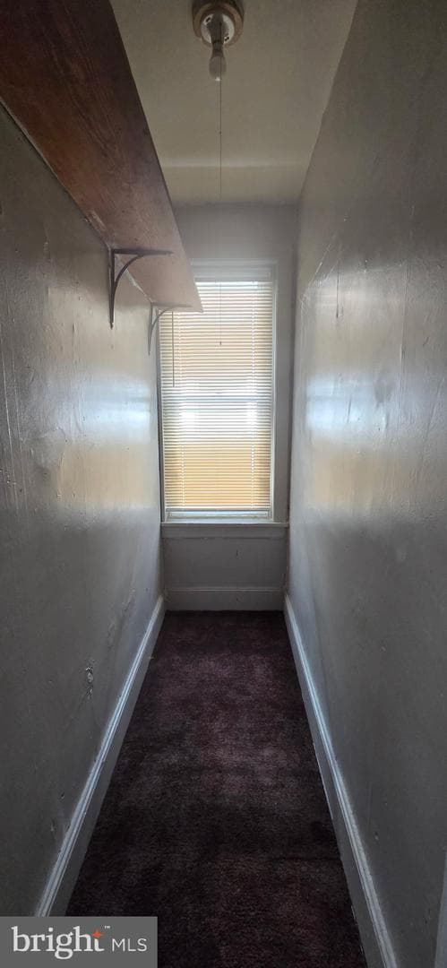 4455 Greene Street photo 20