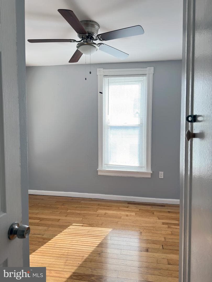 338 Snyder Avenue photo 34