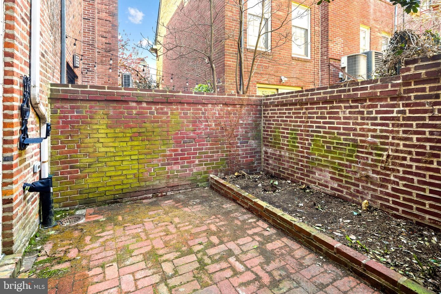 1115 Lombard Street photo 17
