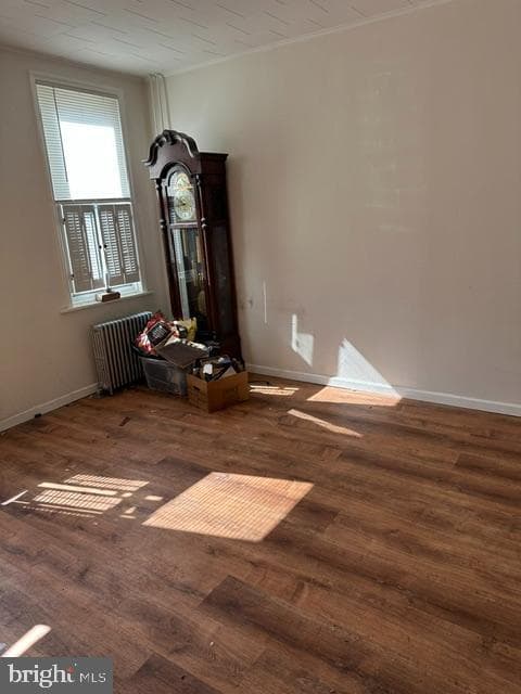 2982 Salmon Street photo 15
