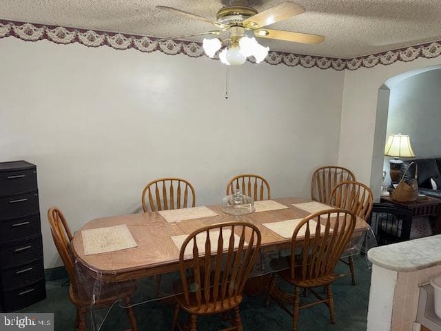 2936 Levick Street photo 7