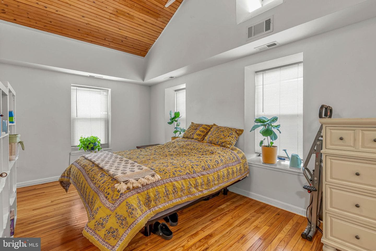 4146 Pechin Street photo 4