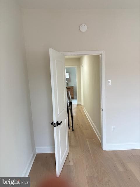 321 Emily Street photo 33