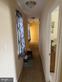 229 E Price Street photo 13