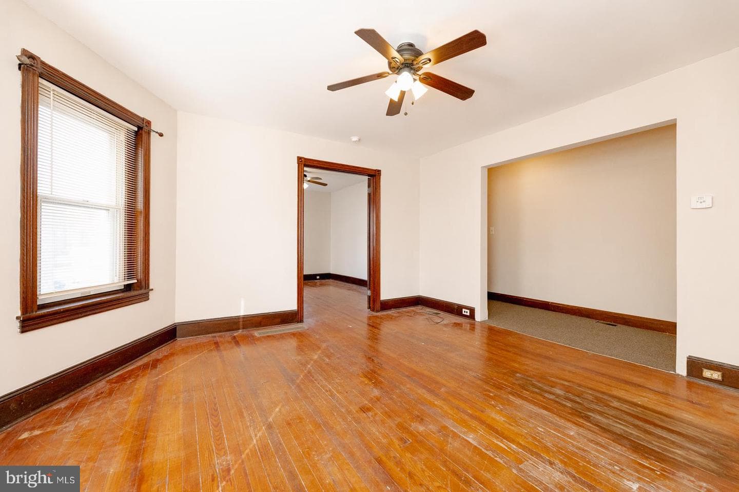 7111 Rising Sun Avenue photo 8
