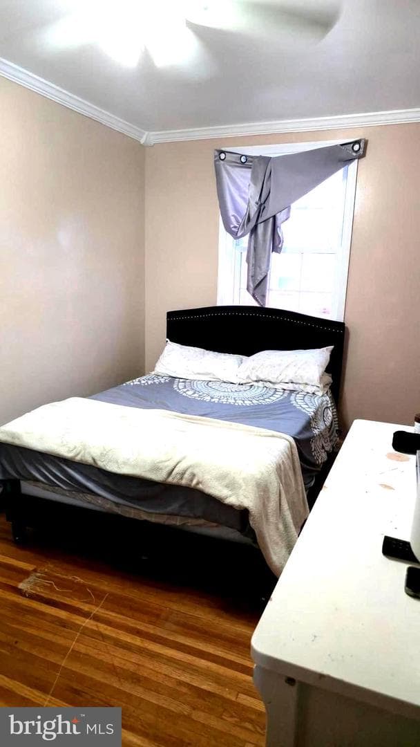 3113 Disston Street photo 22