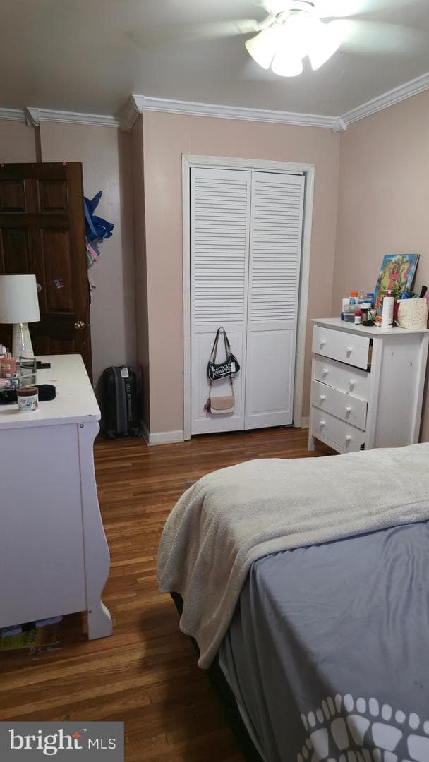 3113 Disston Street photo 23