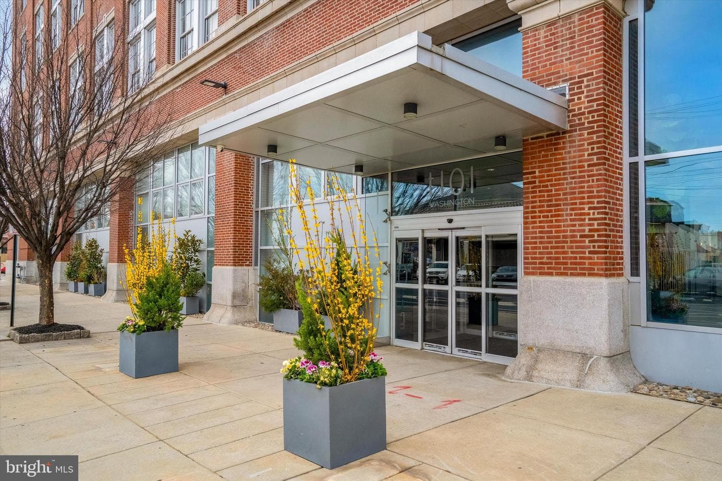 1101 Washington Avenue #515 photo 2